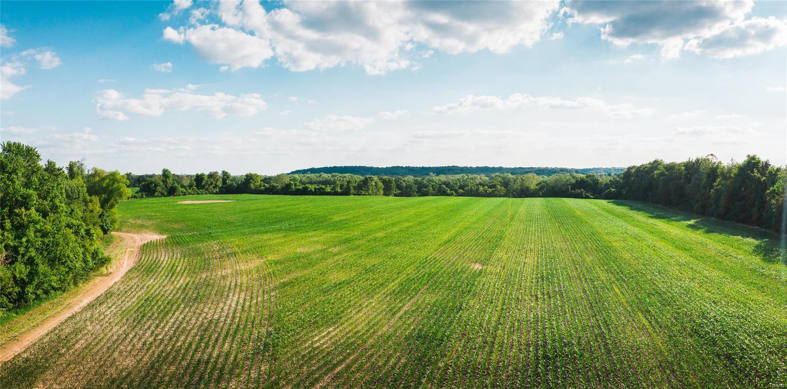 NOT IN A SUBDIVISION - Farm