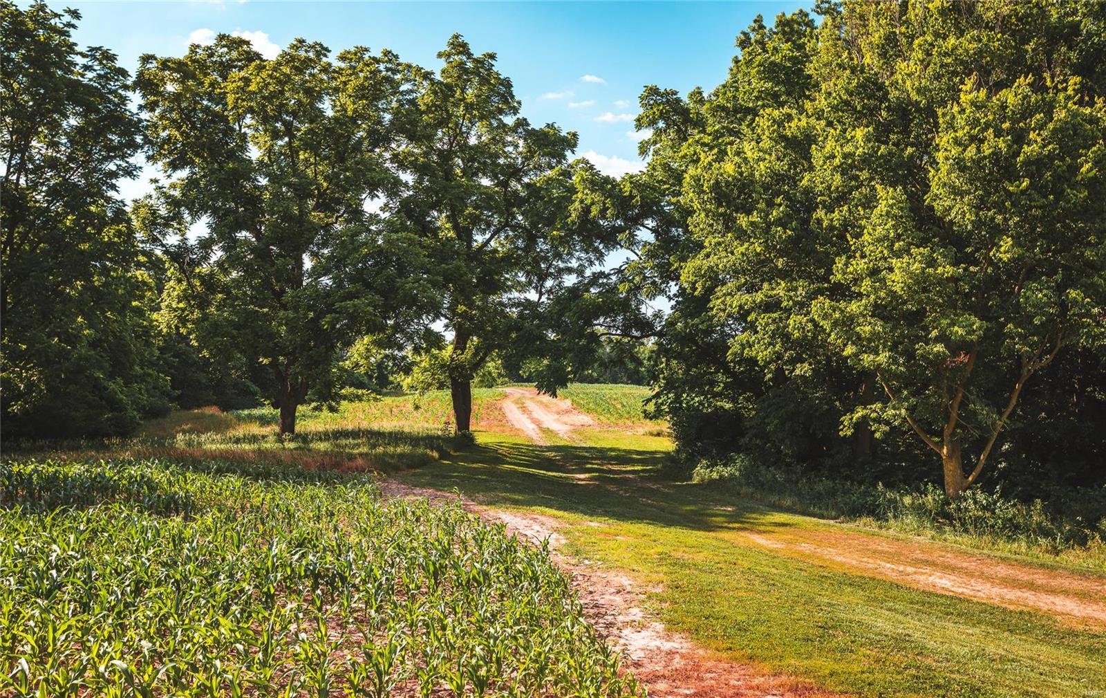 NOT IN A SUBDIVISION - Farm