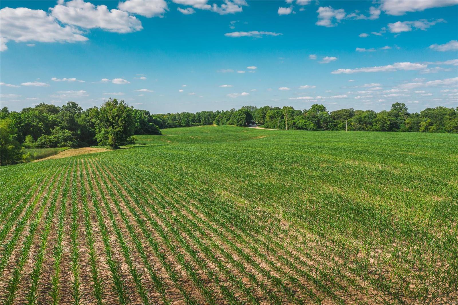 NOT IN A SUBDIVISION - Farm
