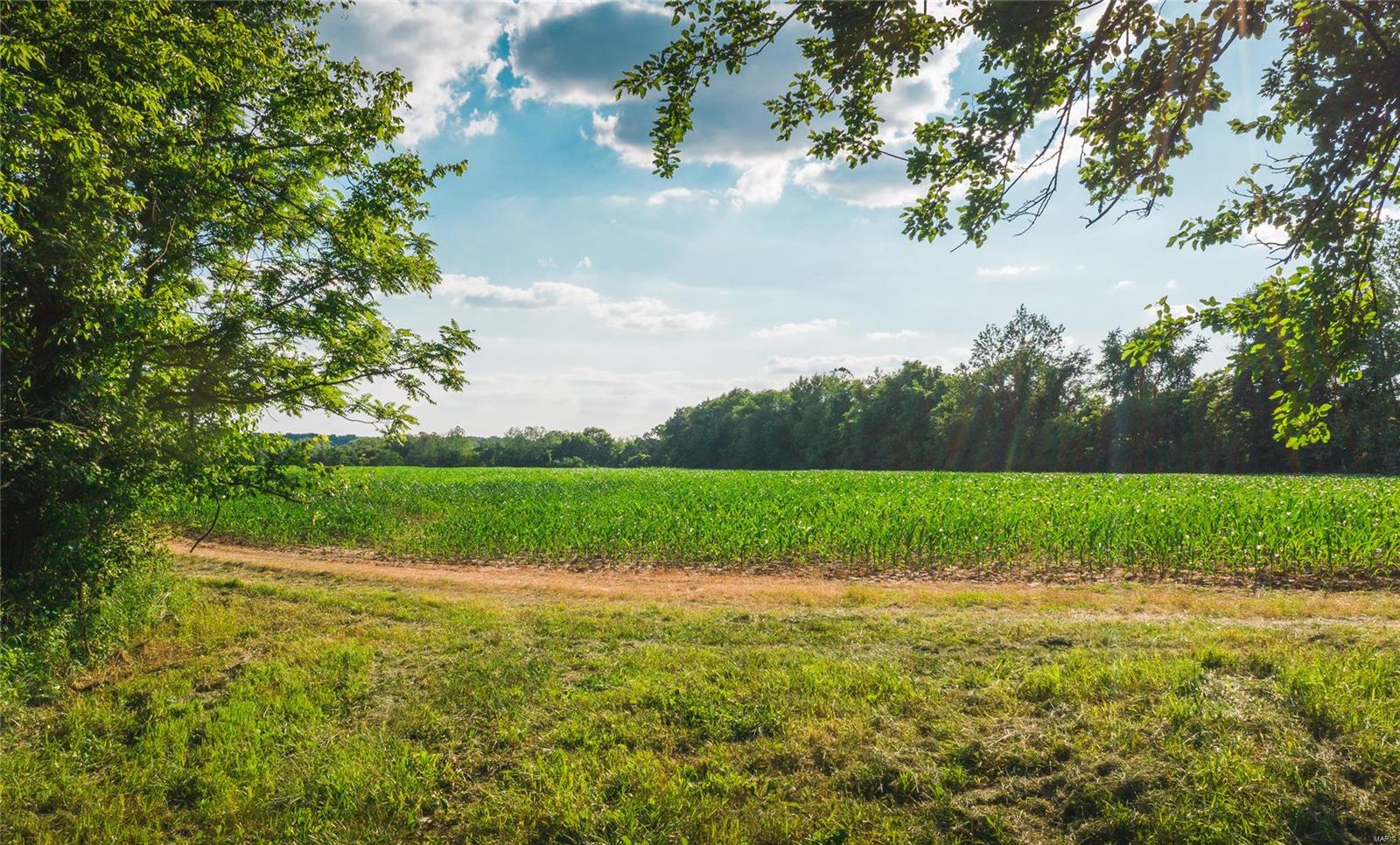 NOT IN A SUBDIVISION - Farm