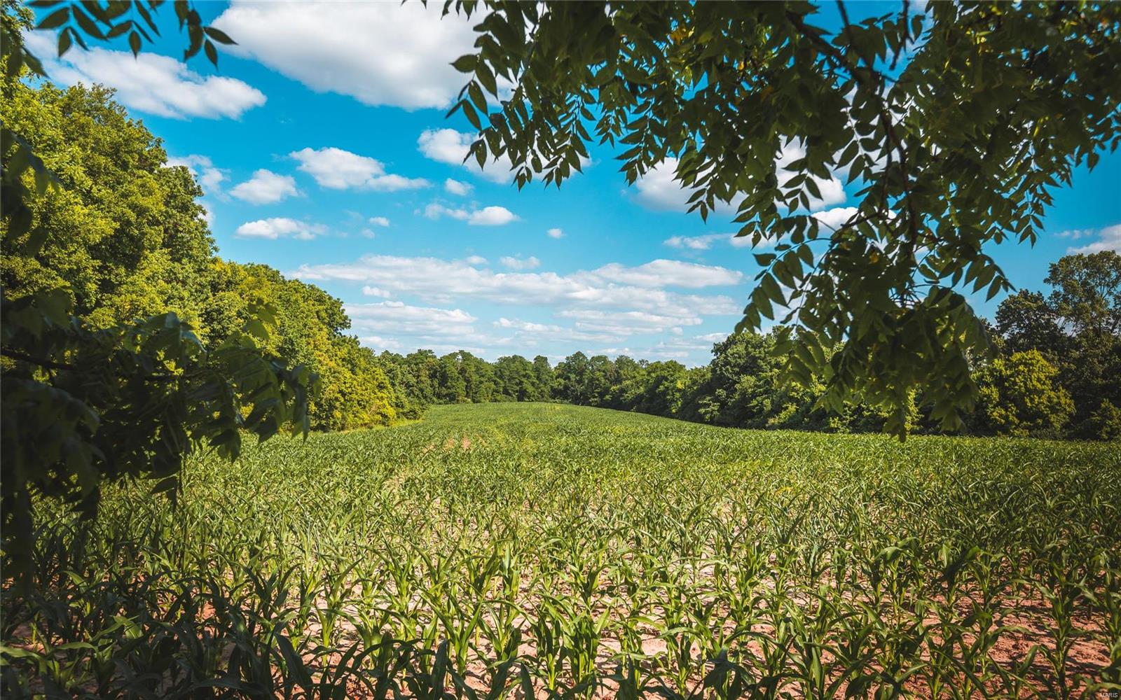NOT IN A SUBDIVISION - Farm
