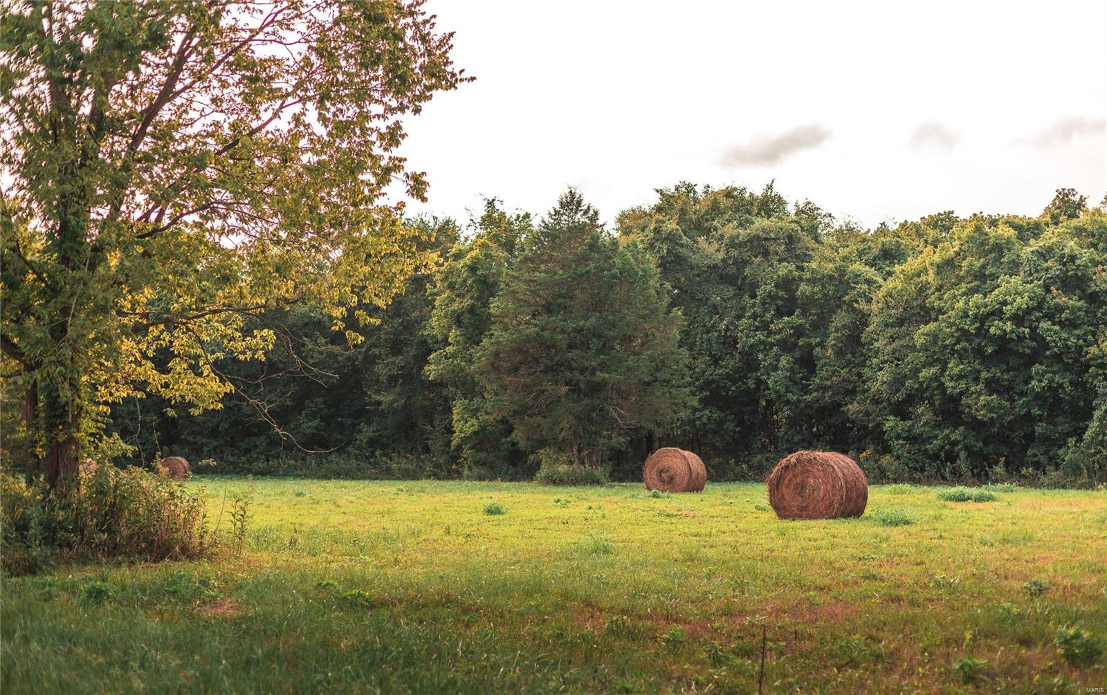 N/A - Farm