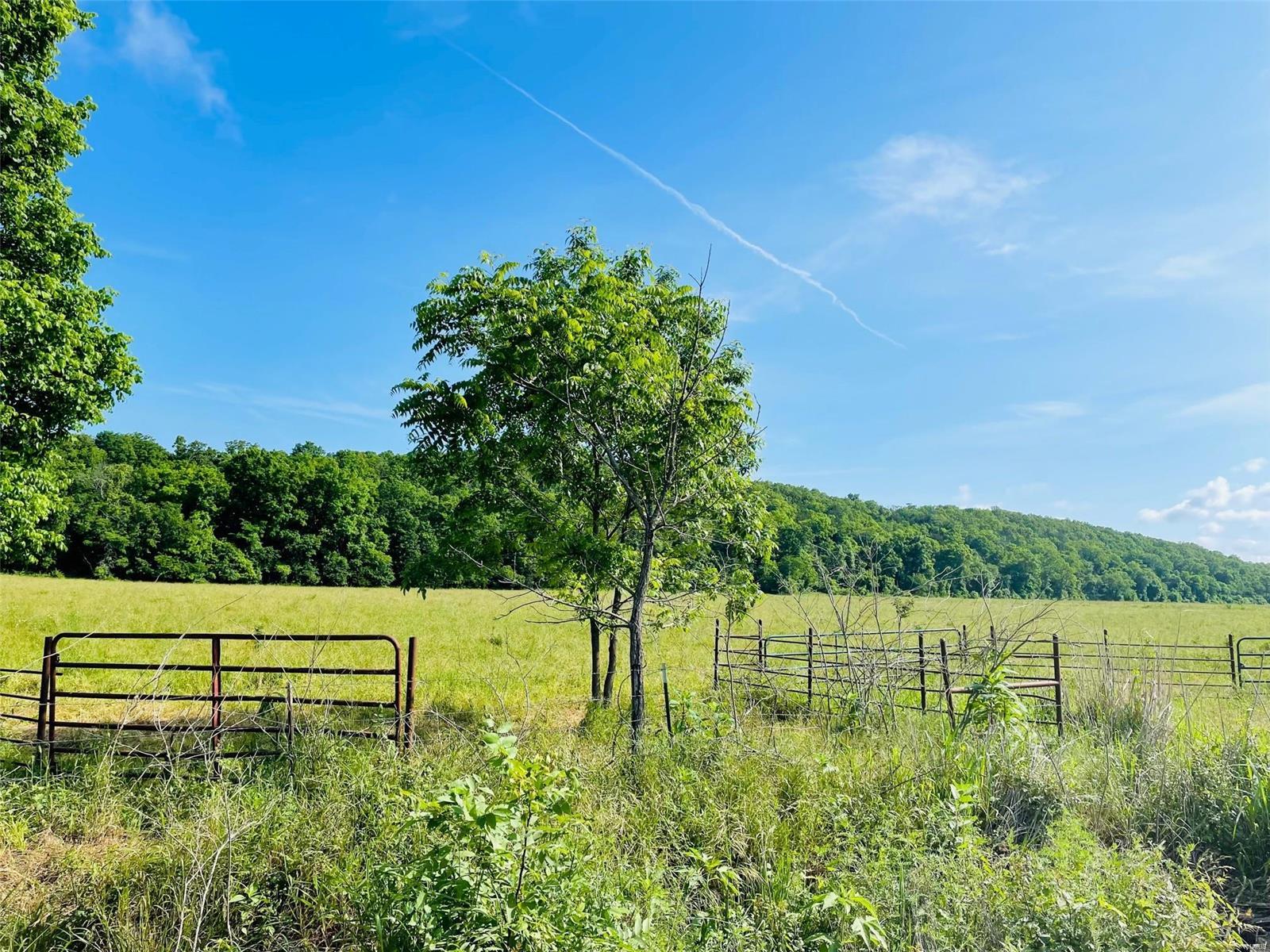 Rural - Farm