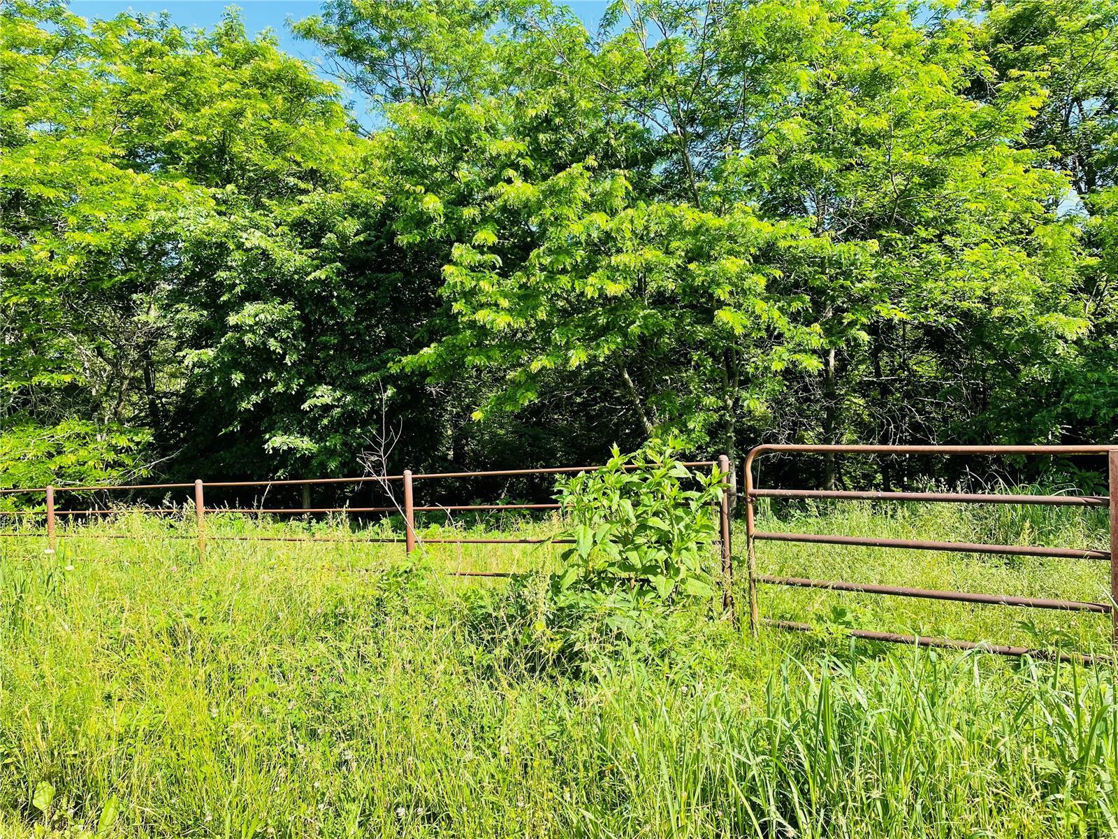 Rural - Farm