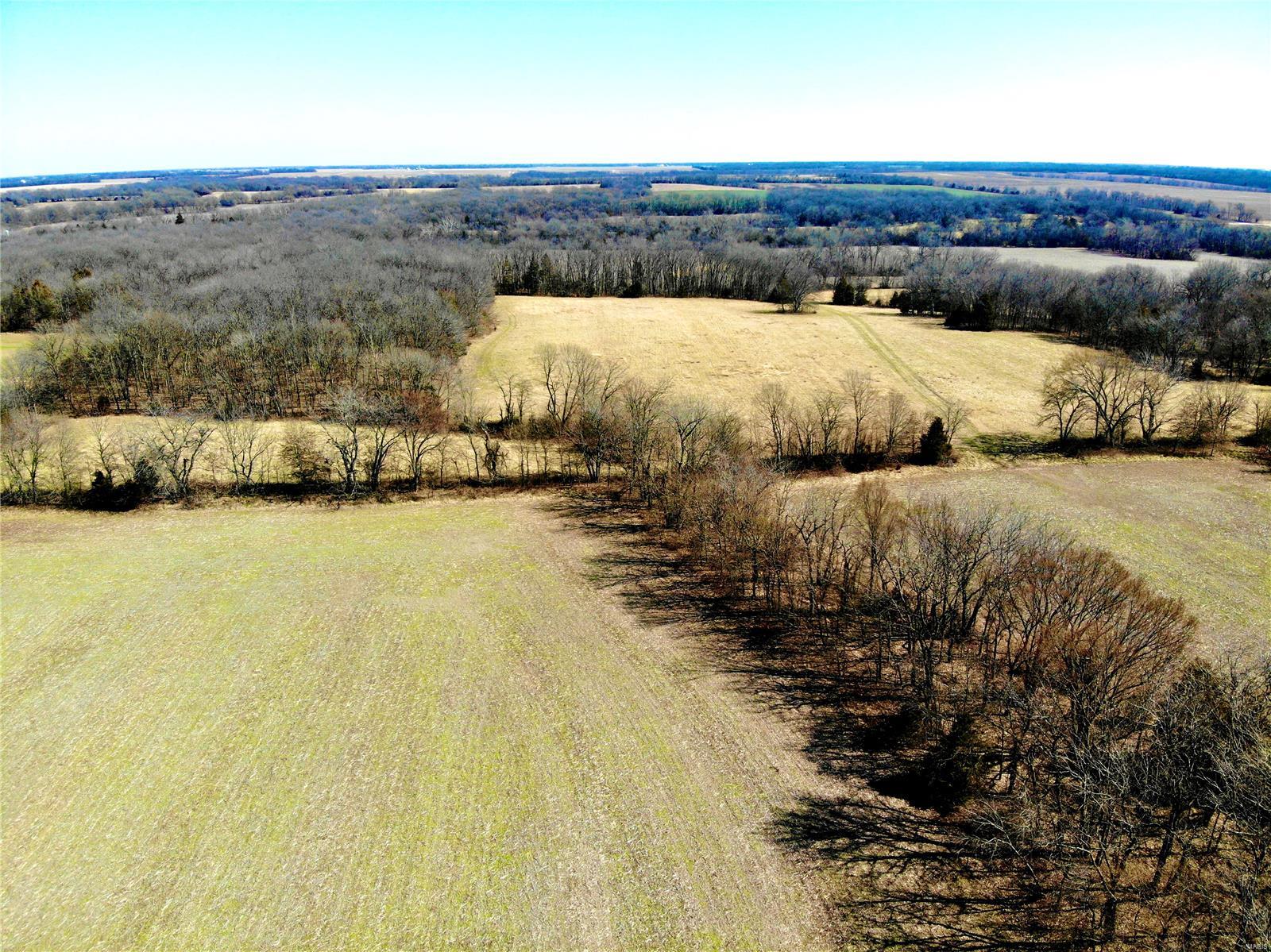 Perry - Farm