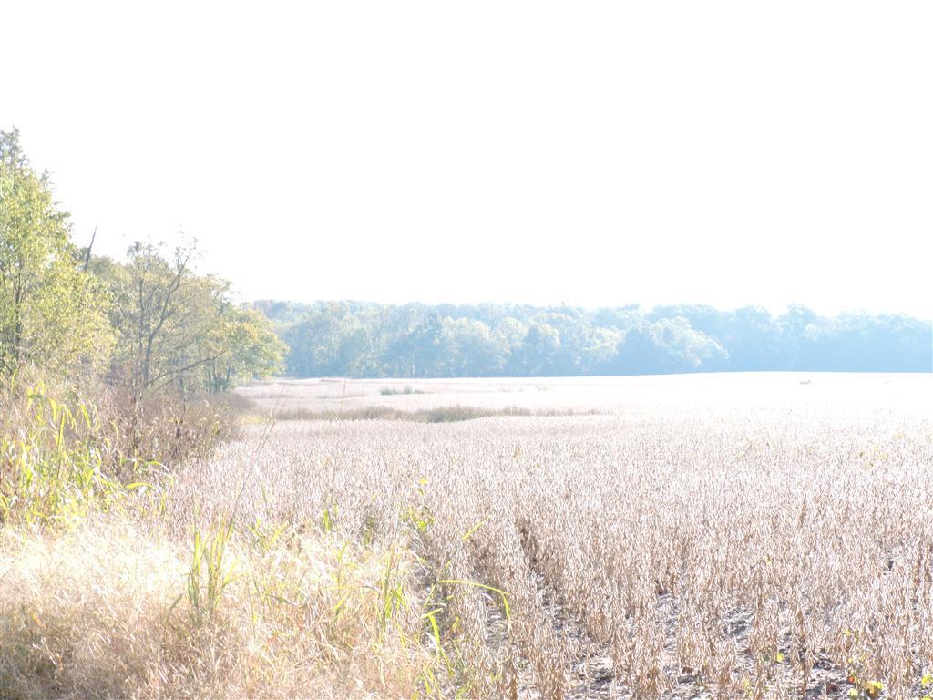 None - Farm