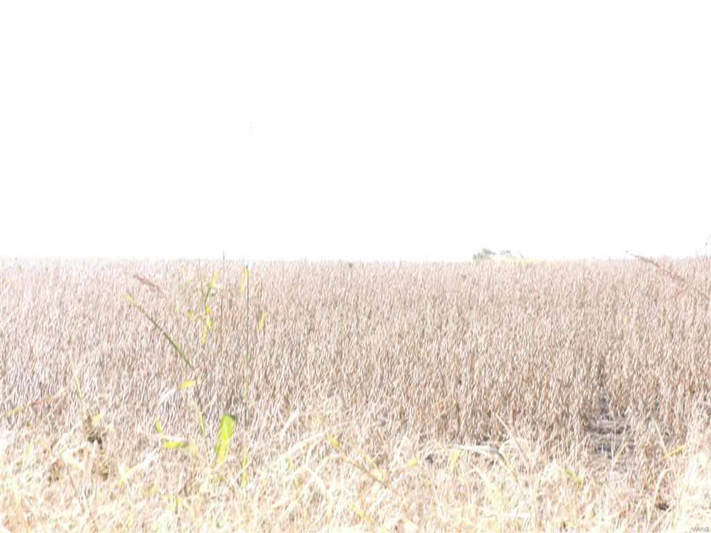 None - Farm