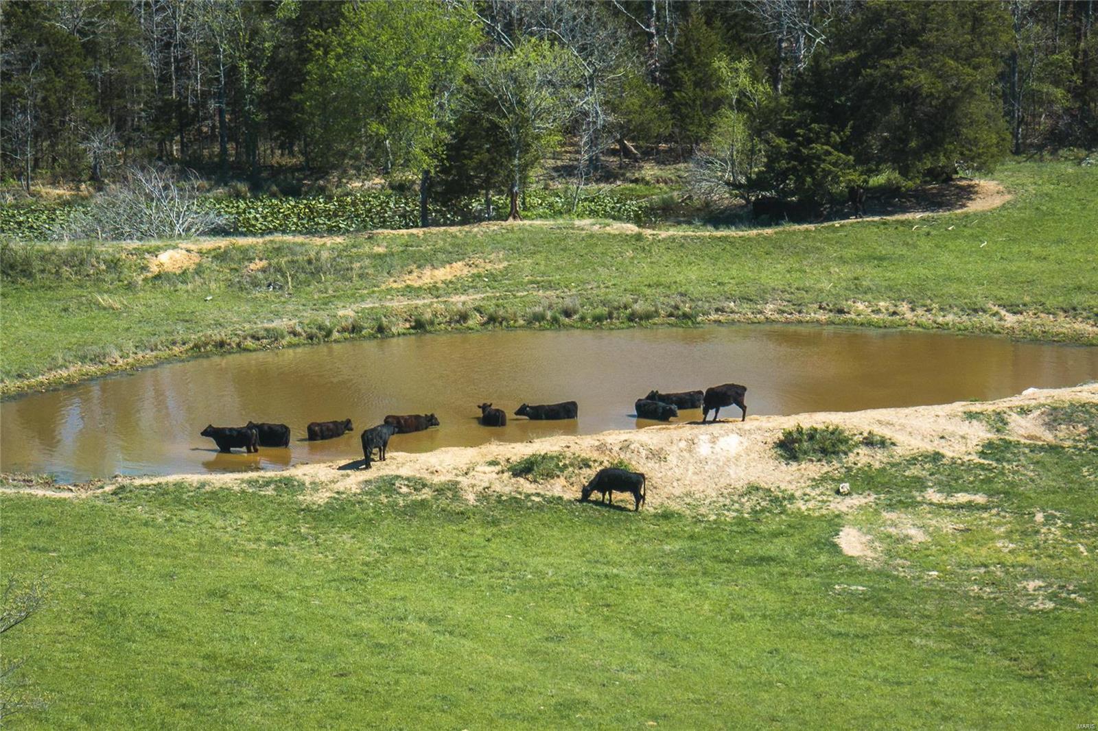 NONE - Farm