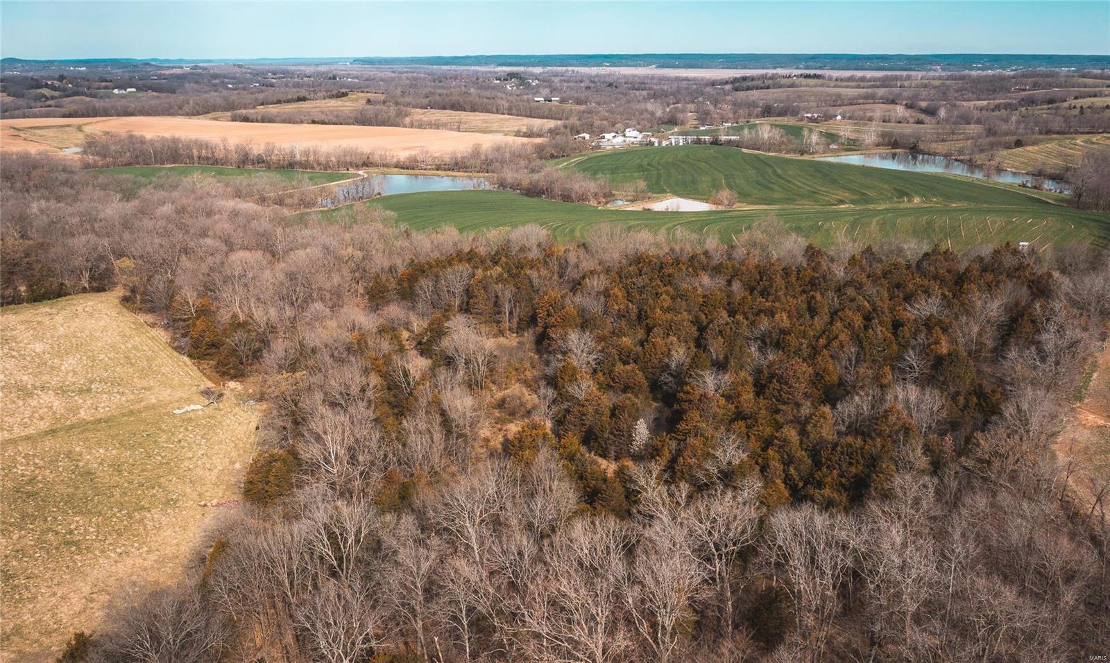 Owls Nest - Farm