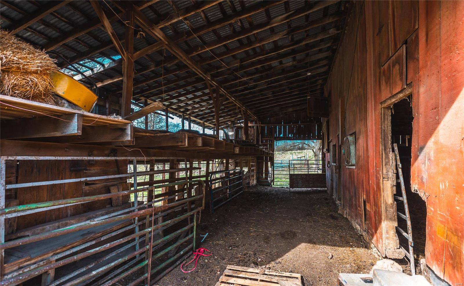 Owls Nest - Farm