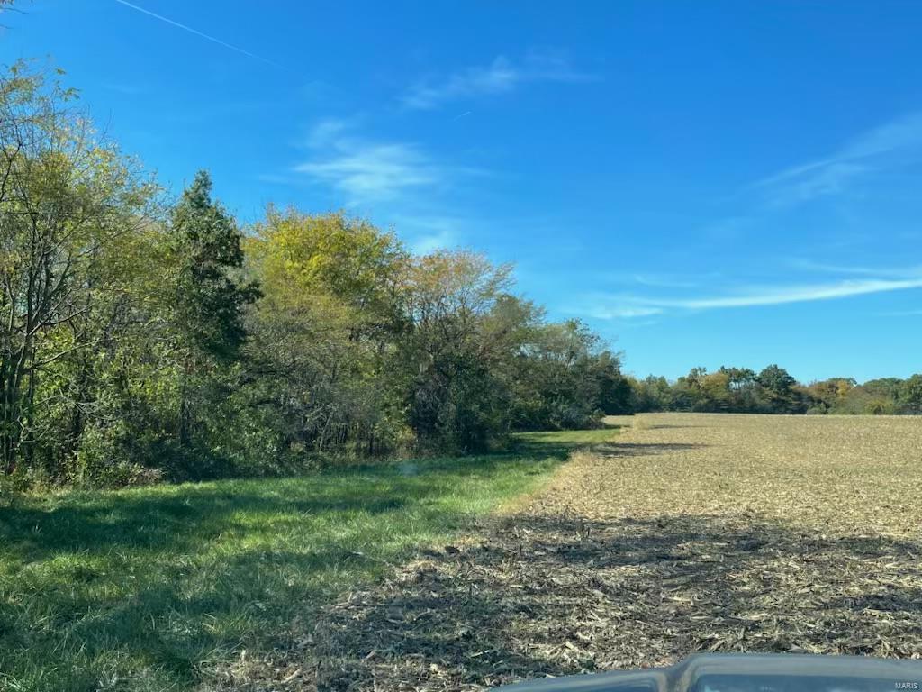 Pure Hunting! 209 acre, 5 Shadow Hunter Blinds & 10 Ladder Stands and you are ready for the season!  A well managed game farm that has cultivated years of trophy worthy wildlife.  70 acres of tillable laid out for the perfect food plots.  Trails in place, both dirt and gravel.  Knox County, MO, some of the best Whitetail hunting when it comes to trophy bucks, Missouri's little hidden secret - Knox County! That perfect blend of woods to open in a lowly populated area.  Check this one out! See it! Love it! Own it! - then Mount It!