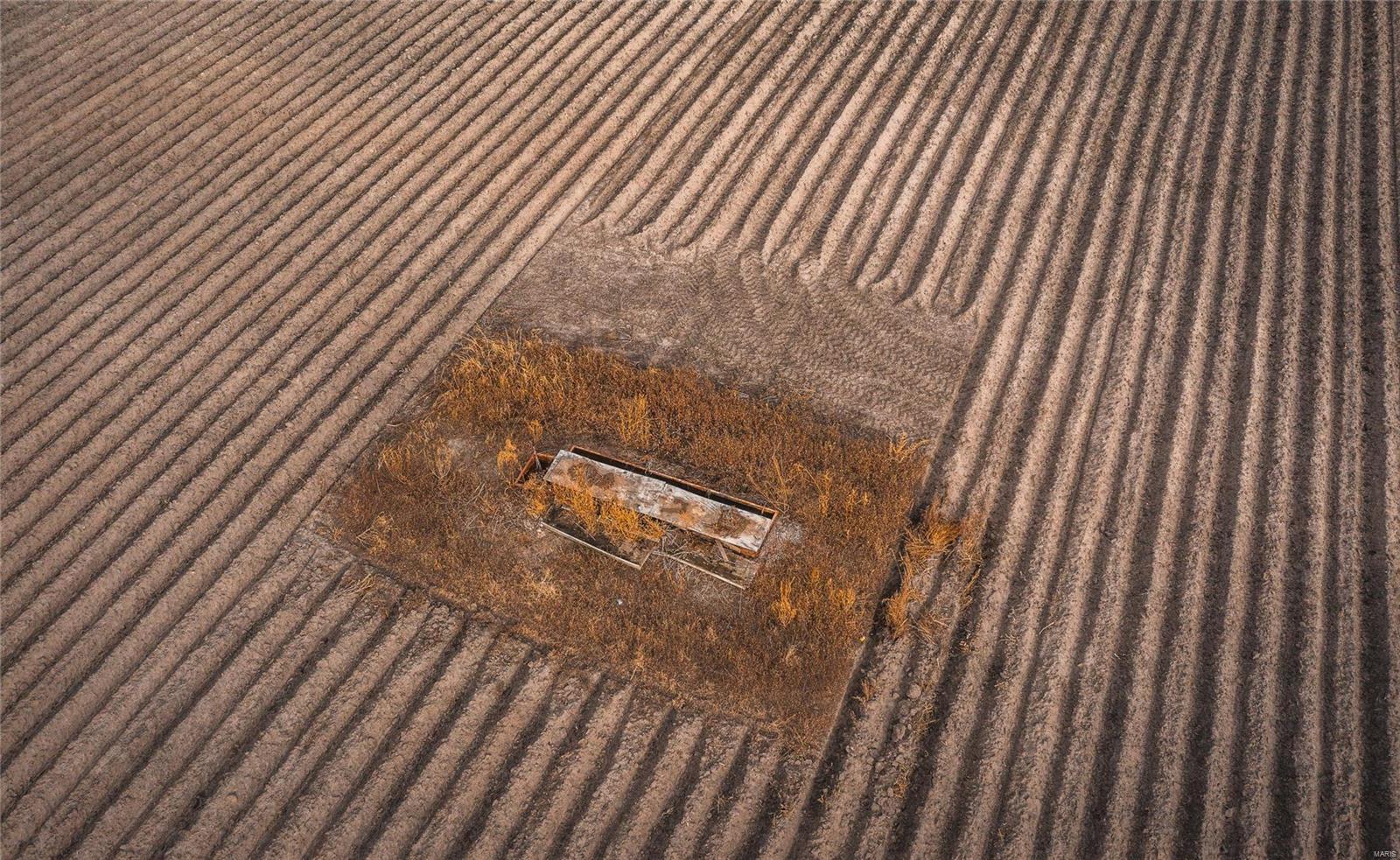 NONE - Farm