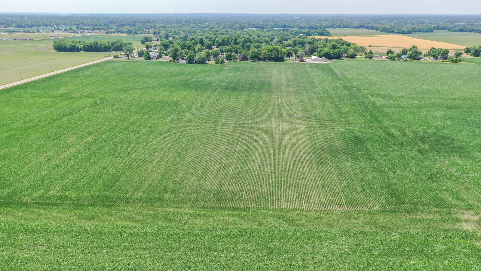 Not in a subdivision - Farm