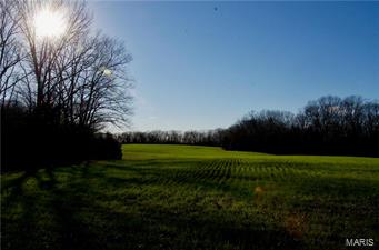None - Farm