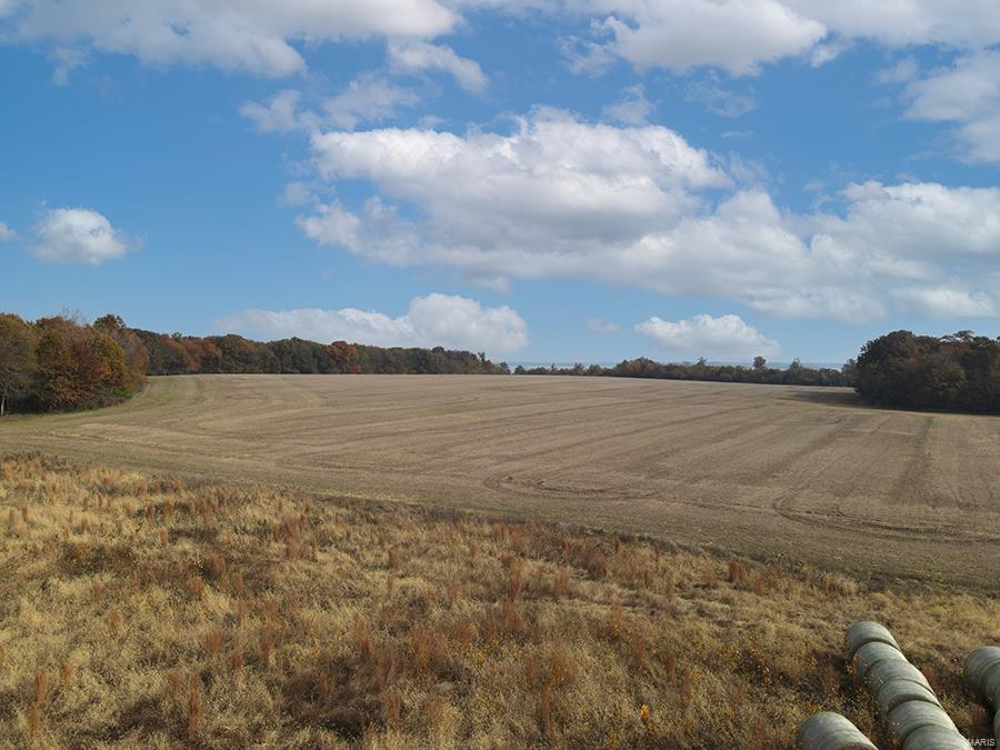 104 +/- farm ground with timber; approximately 60 acres tillable and 44 acres timber.  Some of property adjoining Carlyle Lake.  Property is zoned Agriculture or could be changed to commercial under proper steps.  Taxed as Agricultural.  Great development potential!  Please see attachments with details. Taxes are part of the larger tract.....see attachment for details.  Parcel number is only part of a larger tract. Tenant rights.