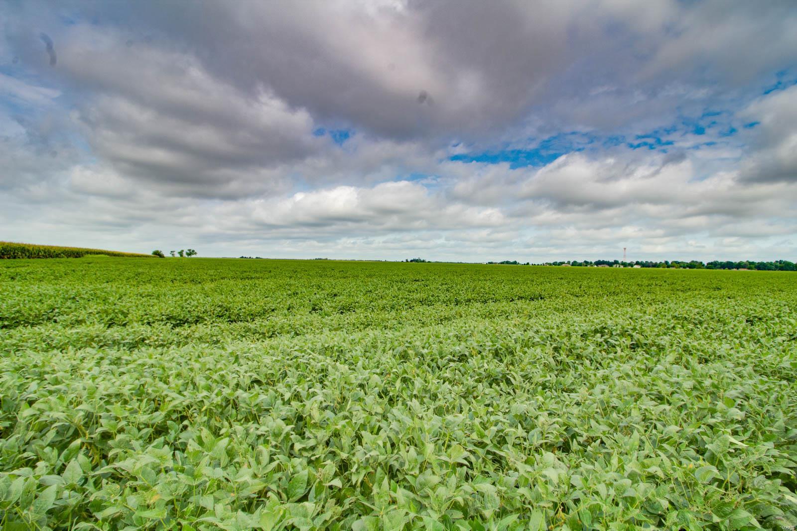NOT IN A SUBDIVISION - Farm