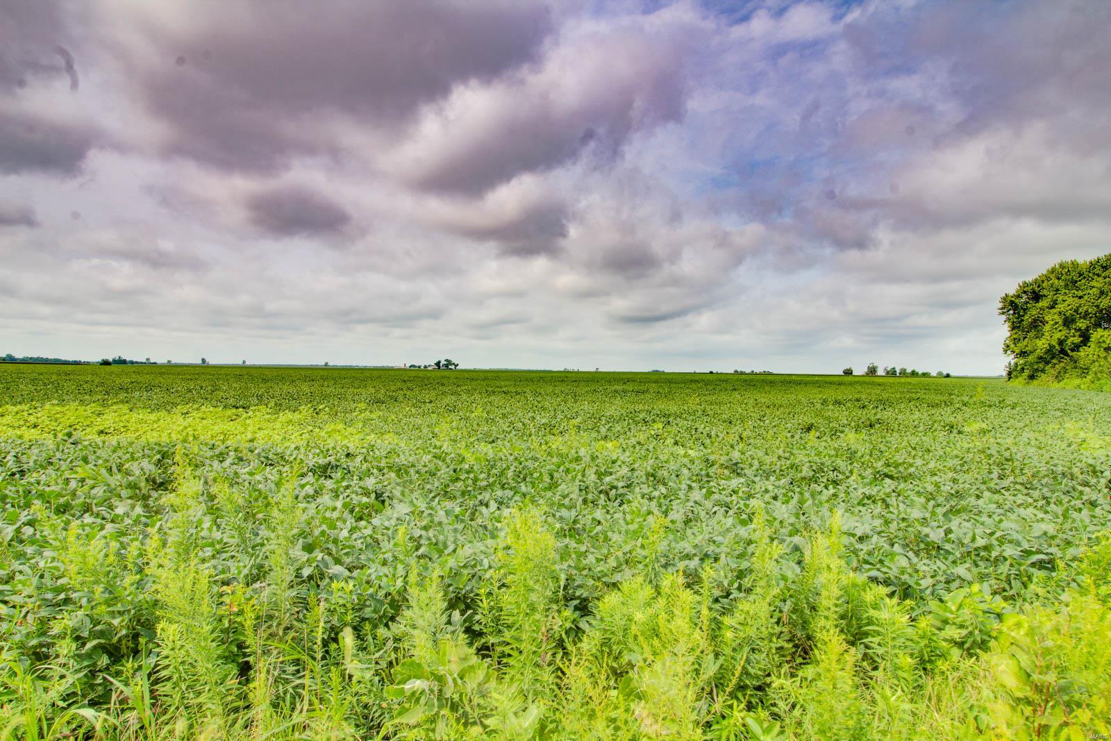 NOT IN A SUBDIVISION - Farm