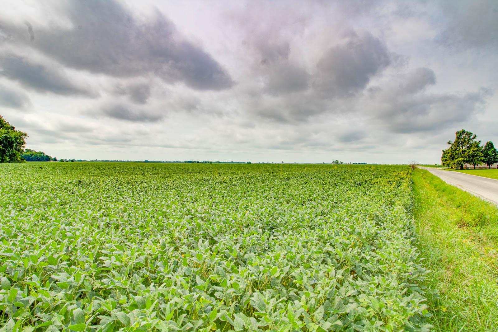 NOT IN A SUBDIVISION - Farm