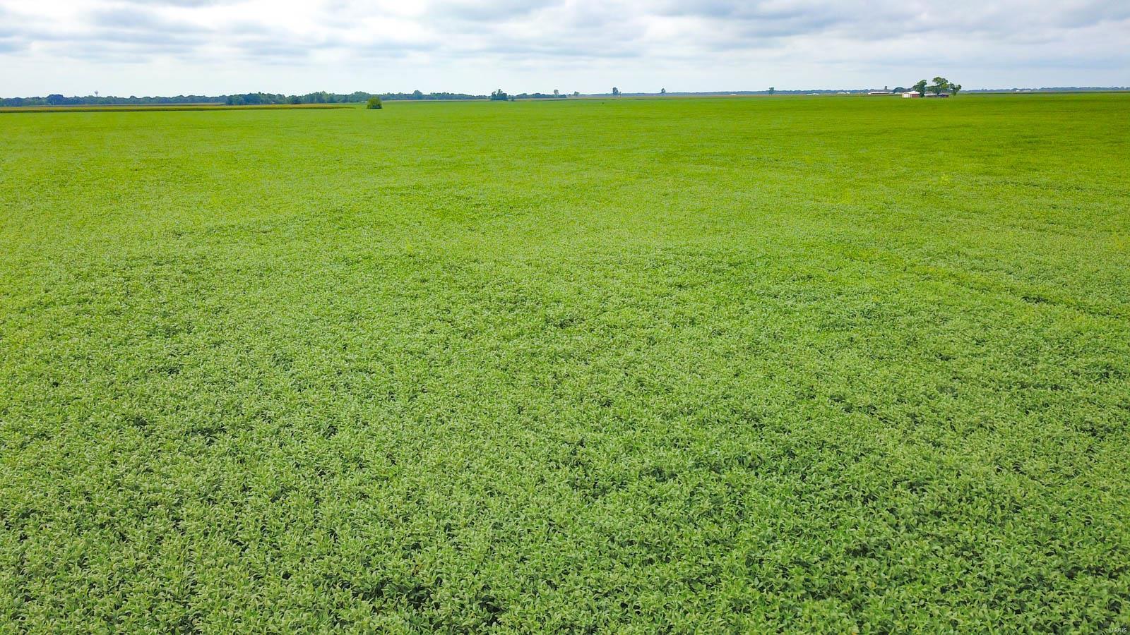 NOT IN A SUBDIVISION - Farm