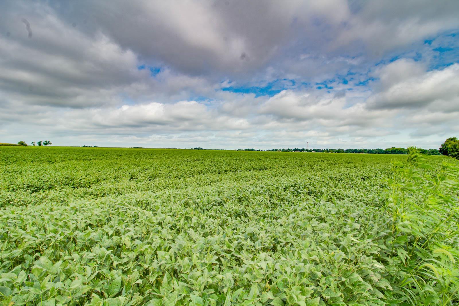 NOT IN A SUBDIVISION - Farm