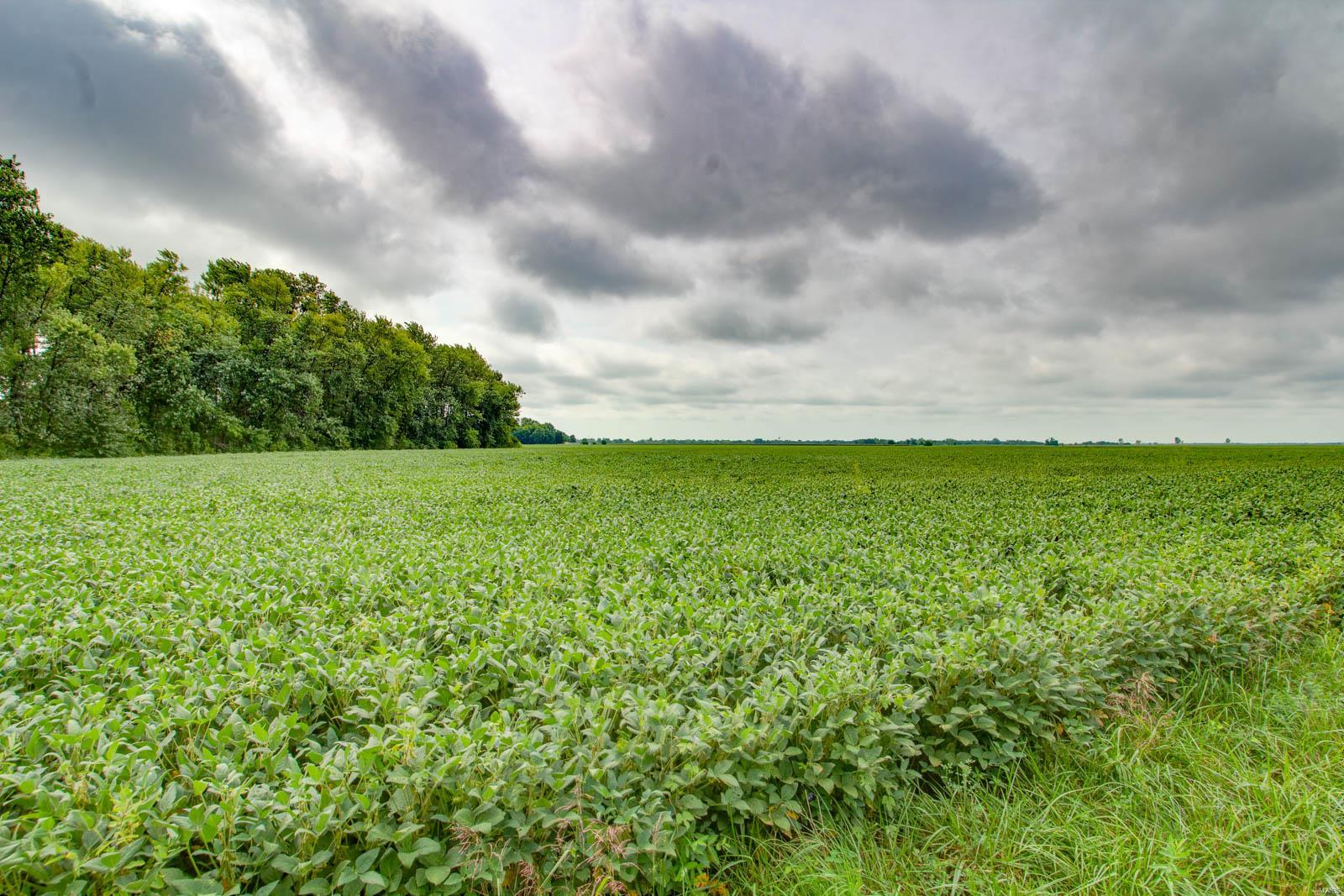 NOT IN A SUBDIVISION - Farm