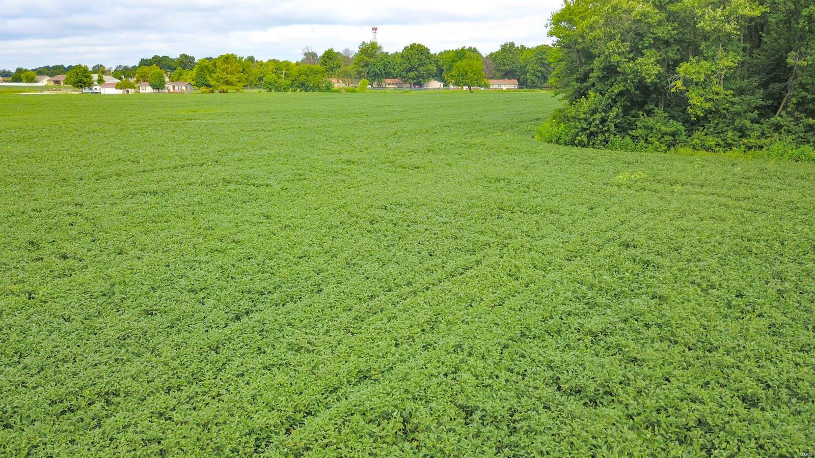 NOT IN A SUBDIVISION - Farm