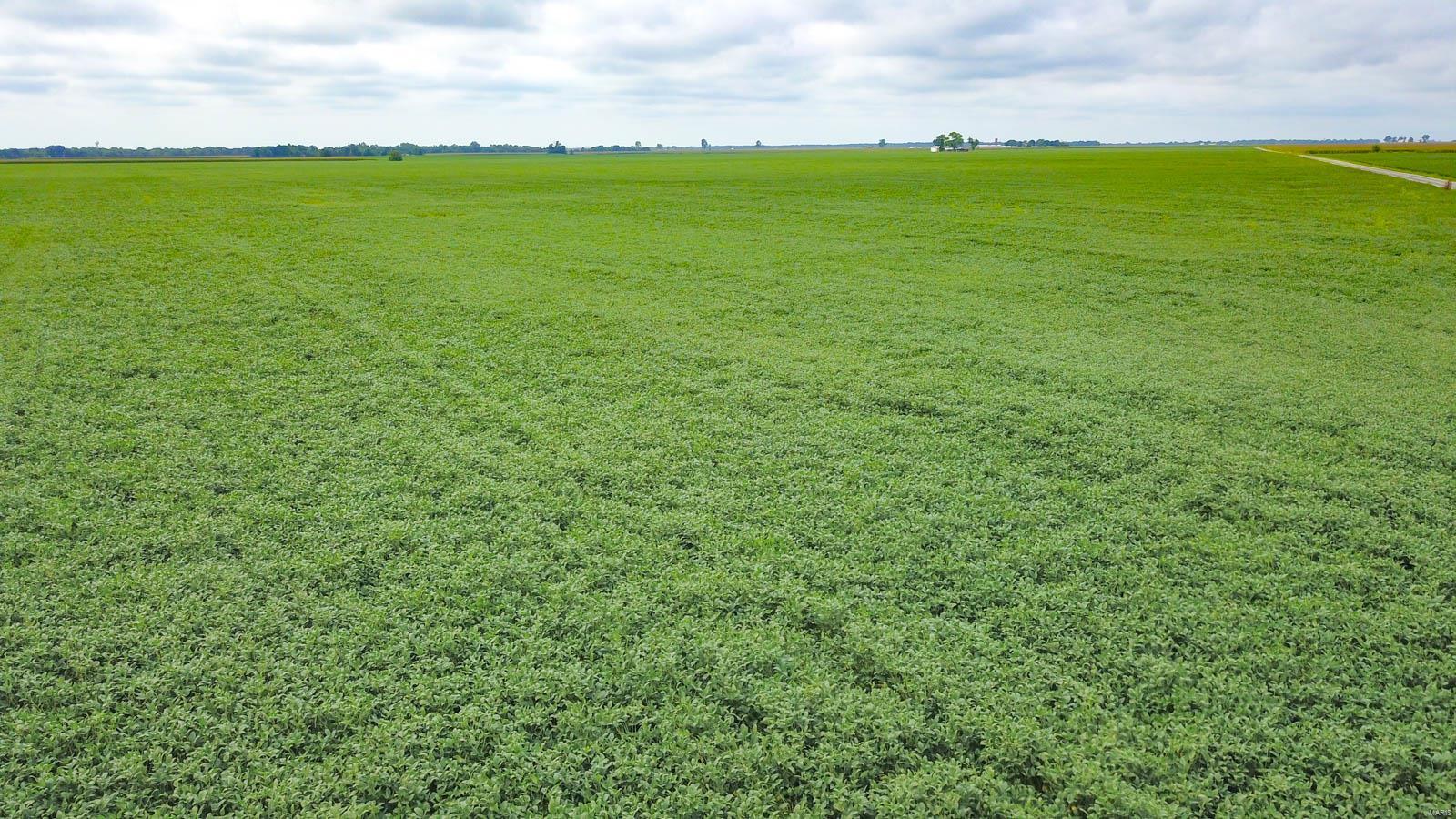 NOT IN A SUBDIVISION - Farm