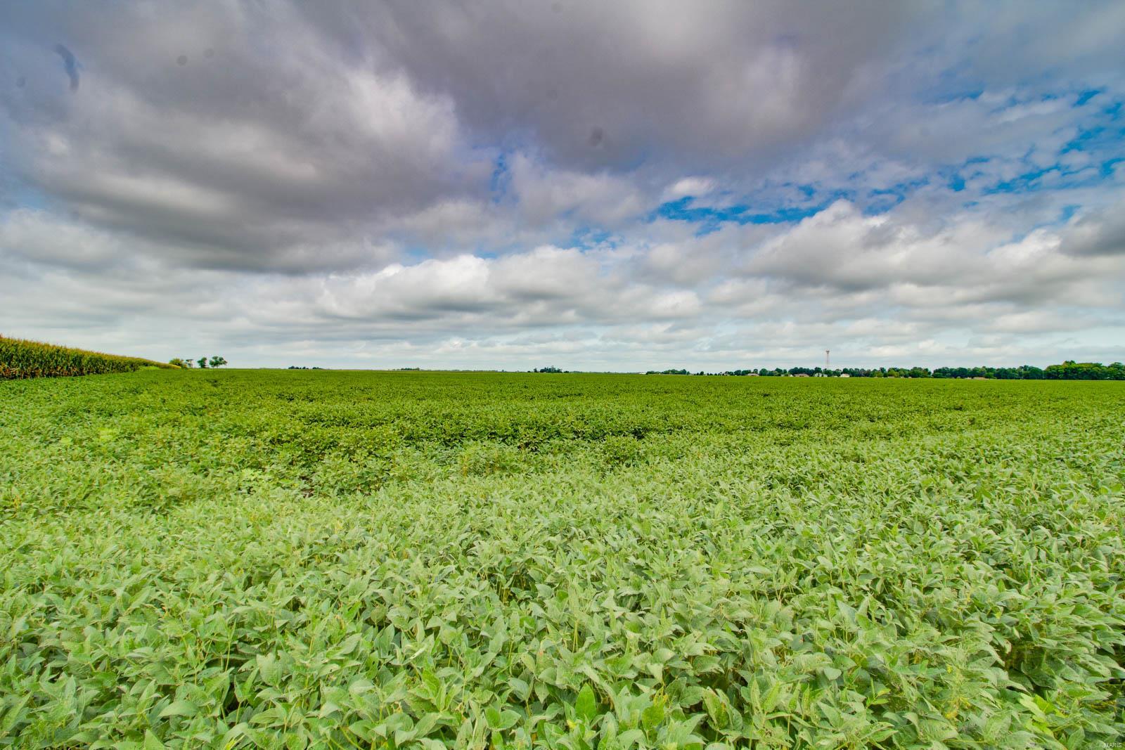 NOT IN A SUBDIVISION - Farm