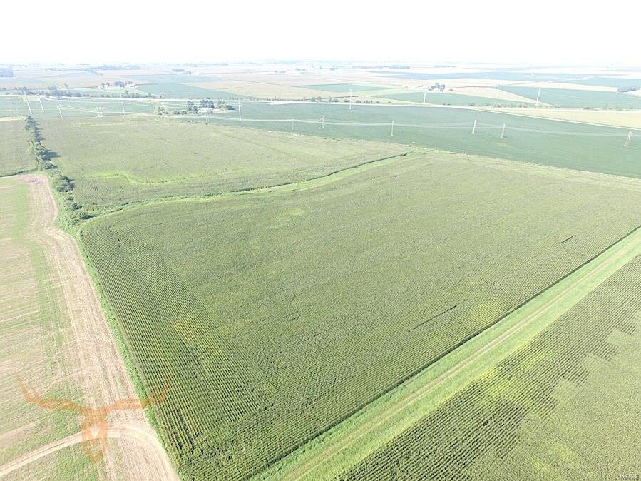 NA - Farm