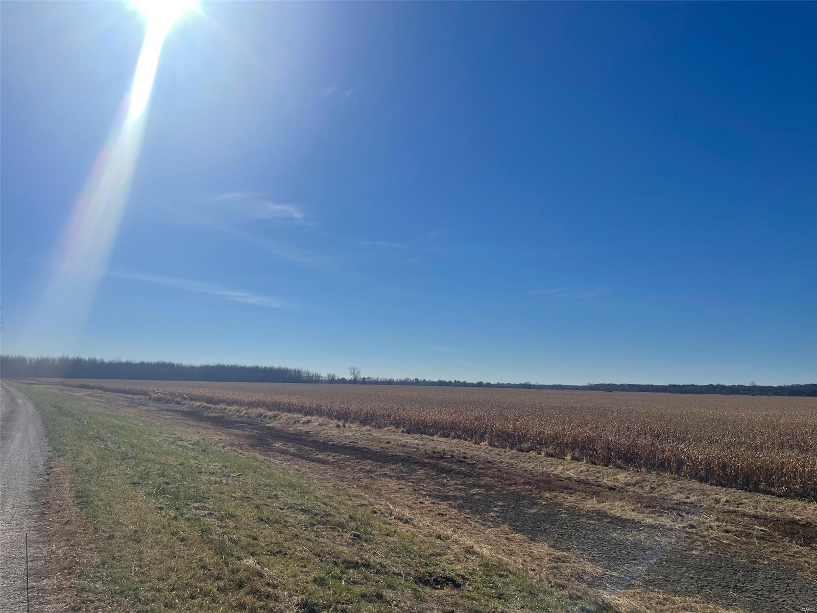 Kaskaskia Township - Farm