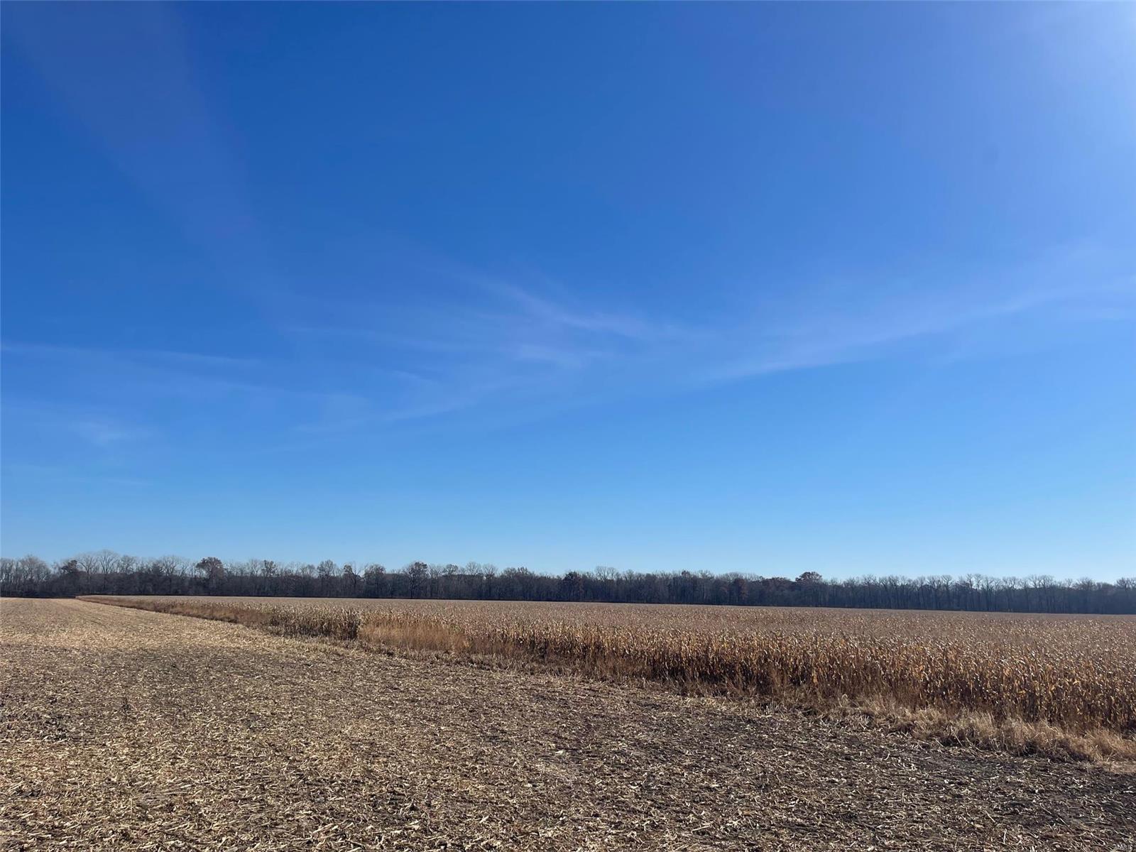Kaskaskia Township - Farm