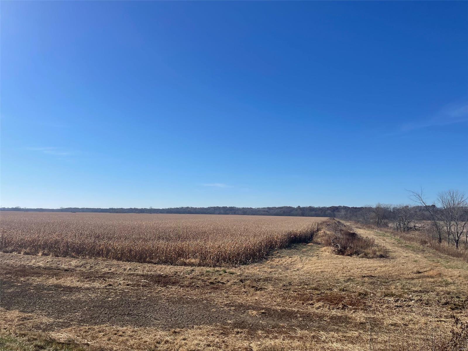 Kaskaskia Township - Farm