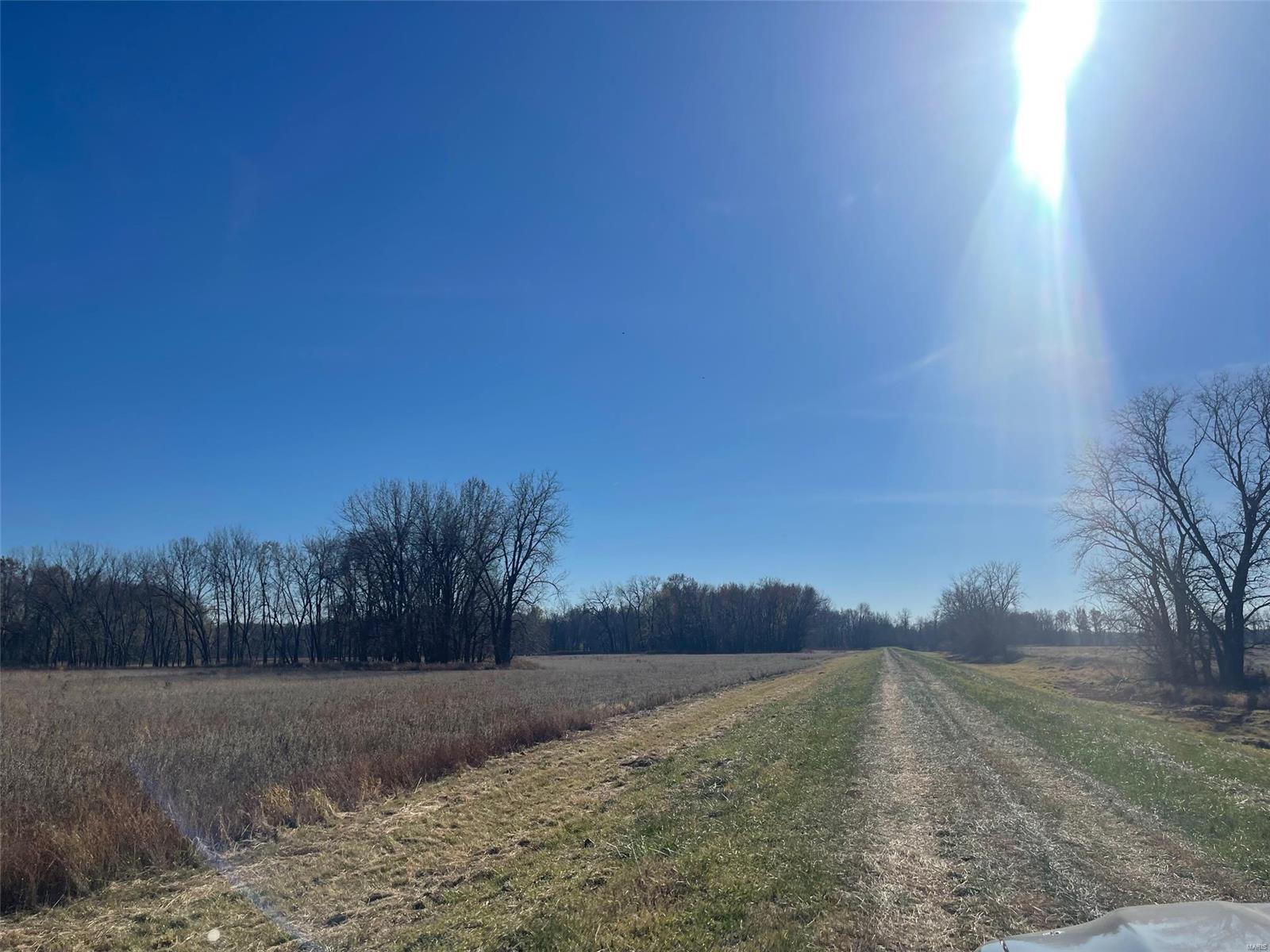 Kaskaskia Township - Farm