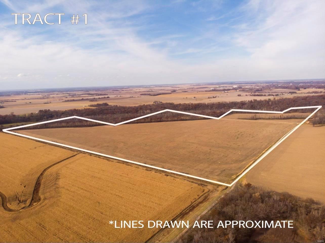 Kaskaskia Township - Farm