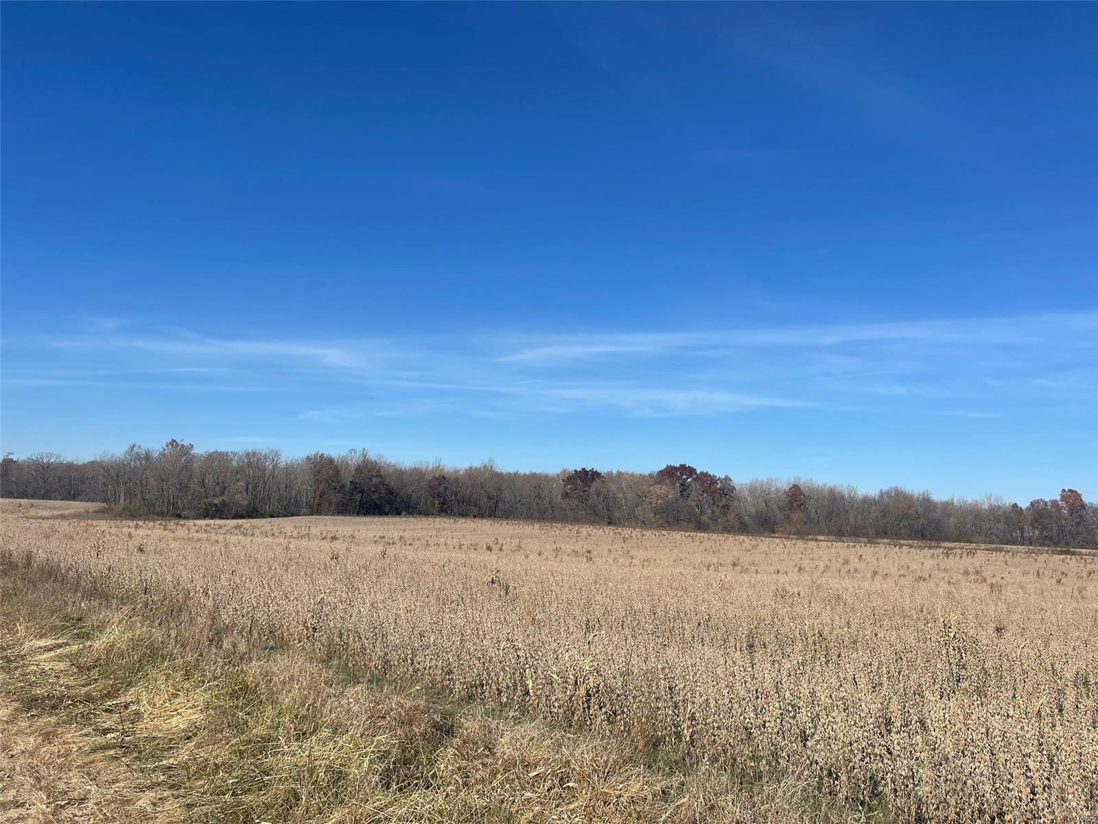 Kaskaskia Township - Farm