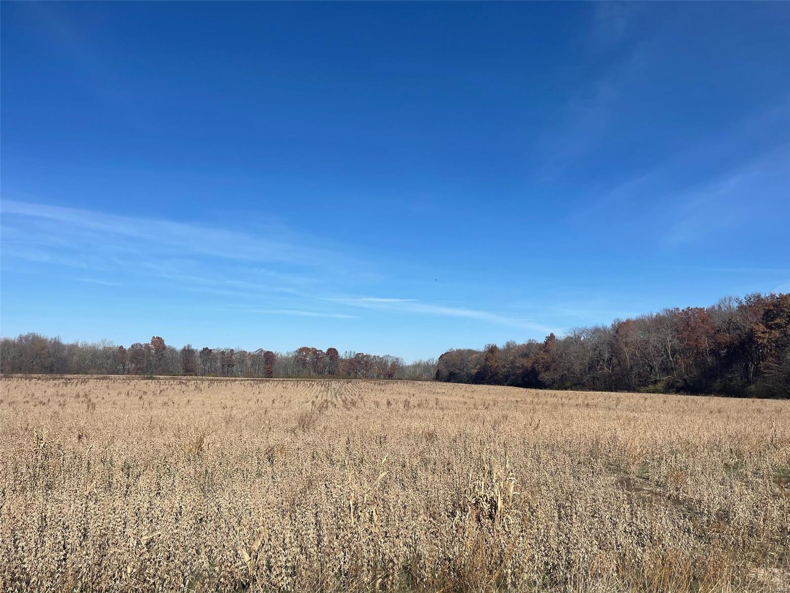 Kaskaskia Township - Farm