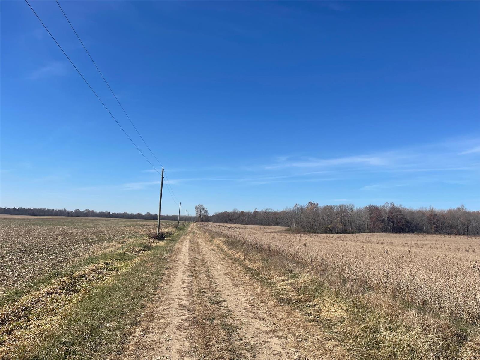 Kaskaskia Township - Farm