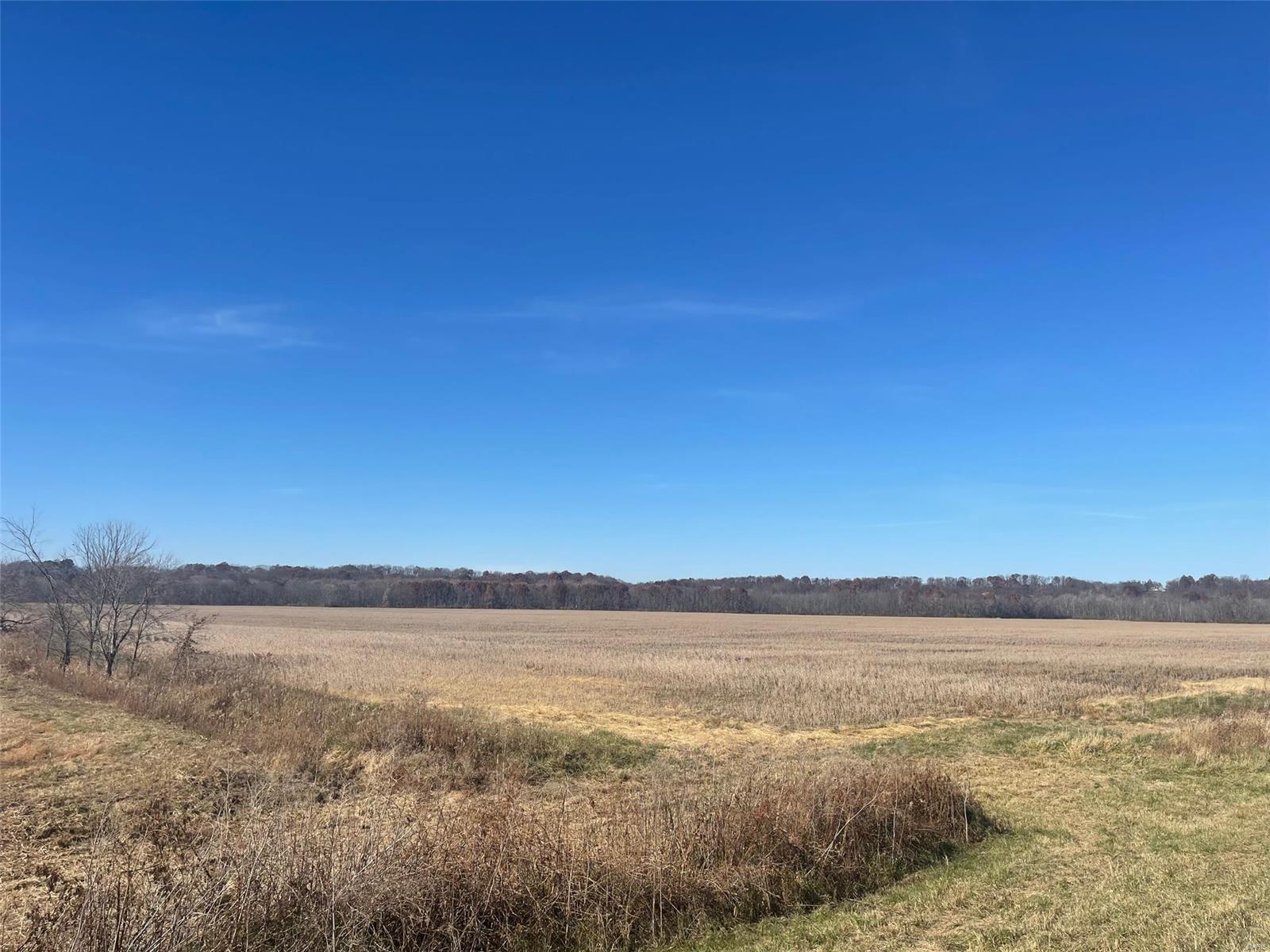 Kaskaskia Township - Farm
