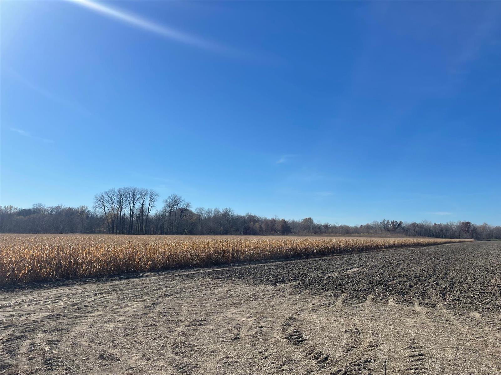 Kaskaskia Township - Farm