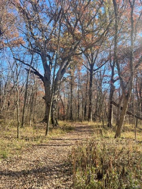 Kaskaskia Township - Farm