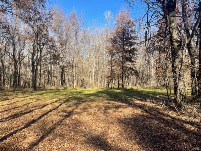 Kaskaskia Township - Farm