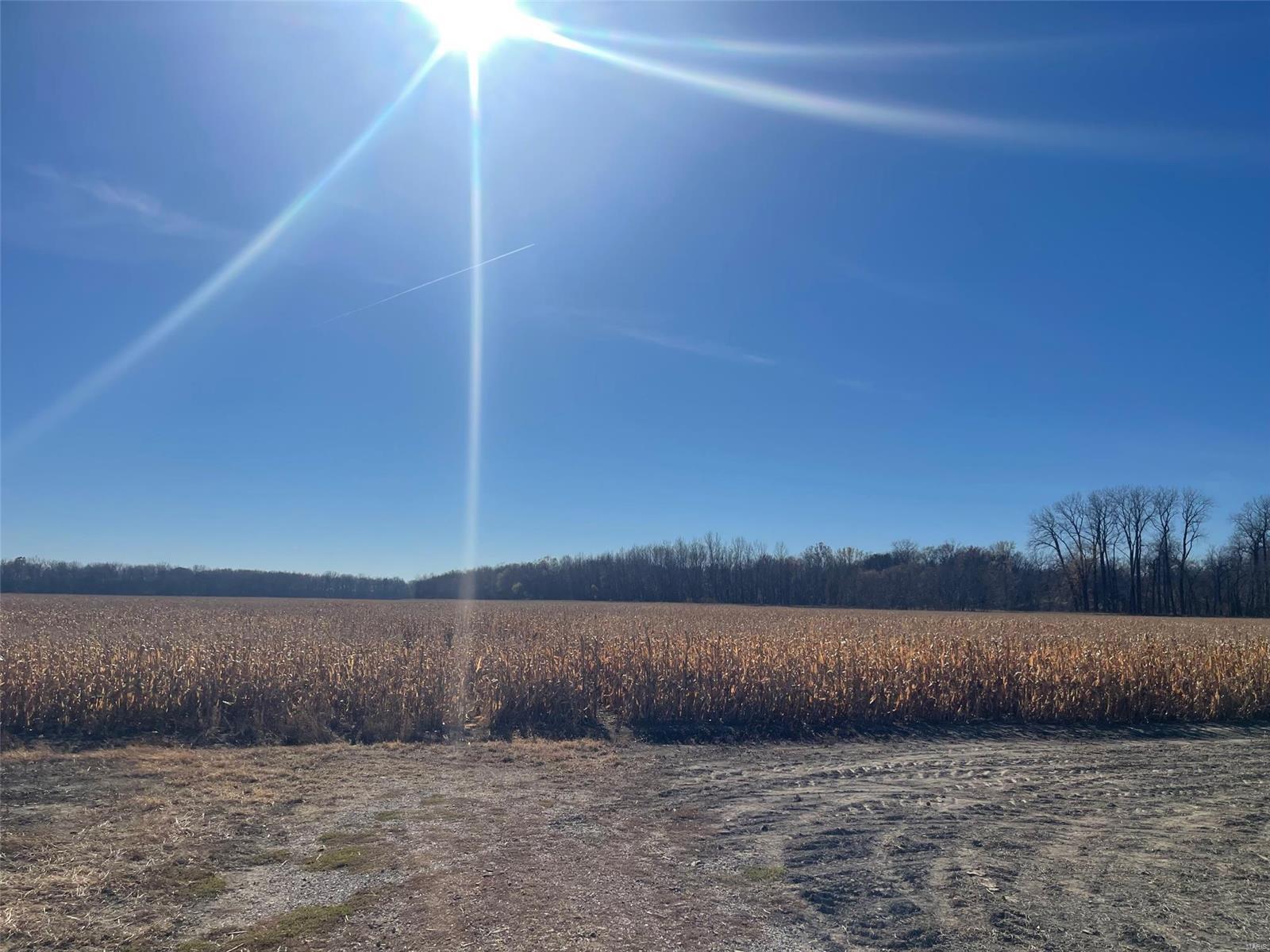 Kaskaskia Township - Farm