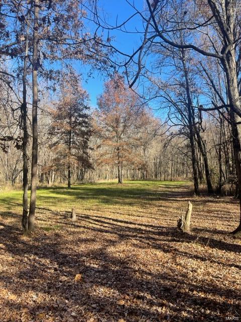 Kaskaskia Township - Farm