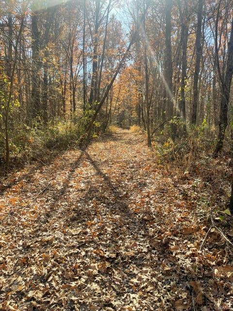Kaskaskia Township - Farm