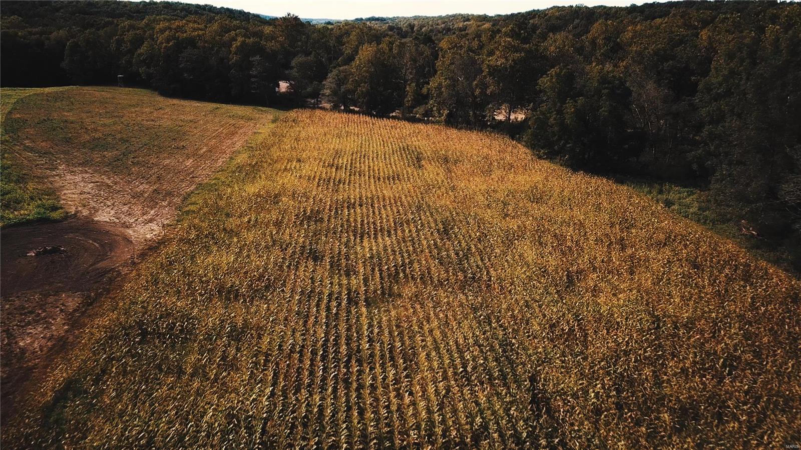 NONE - Farm