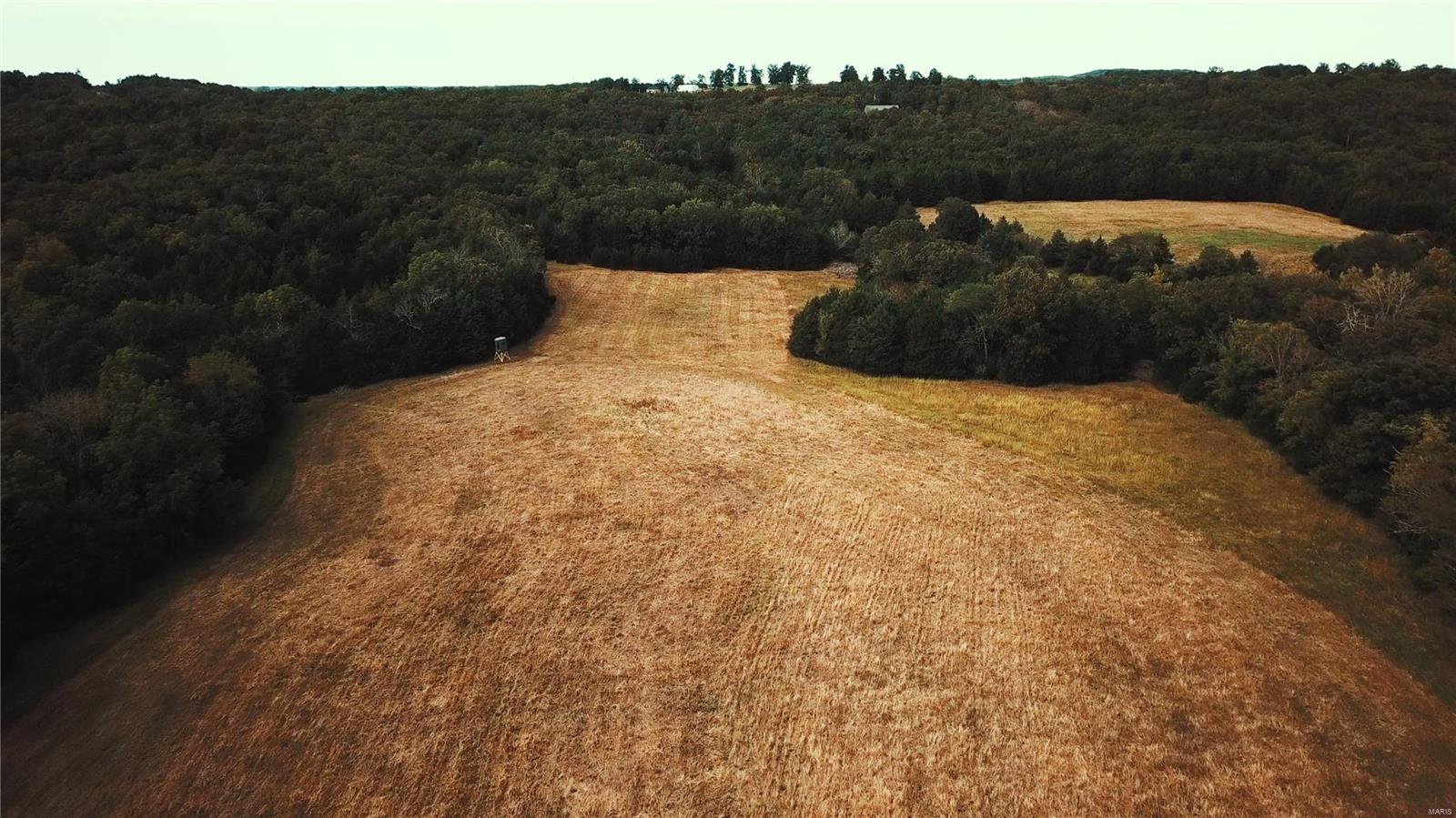 NONE - Farm