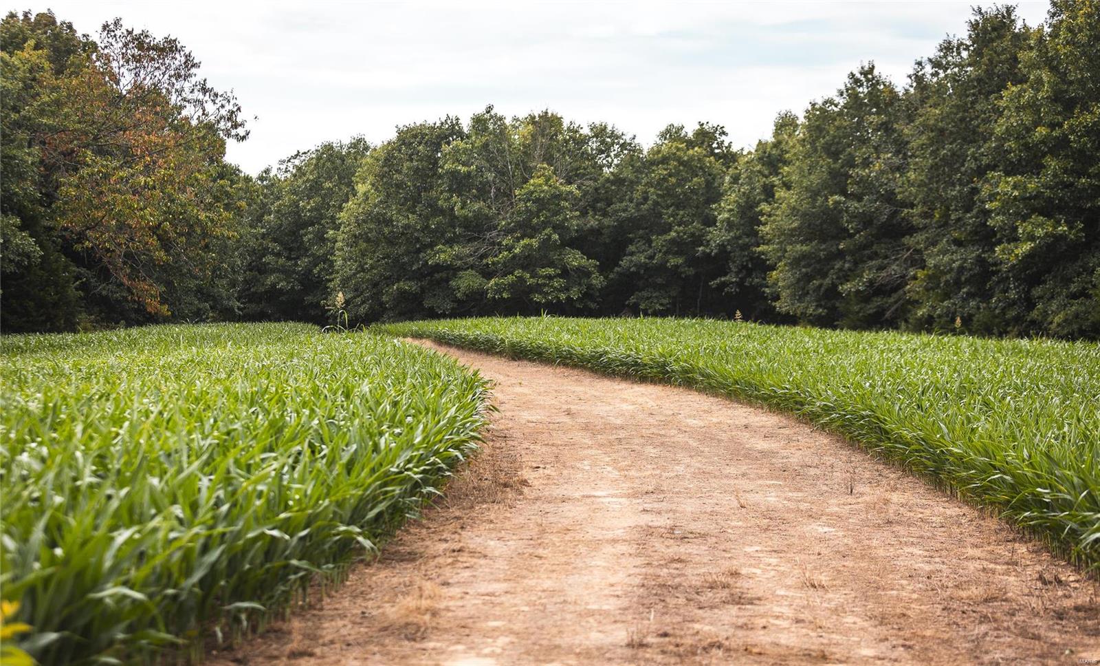 N/A - Farm