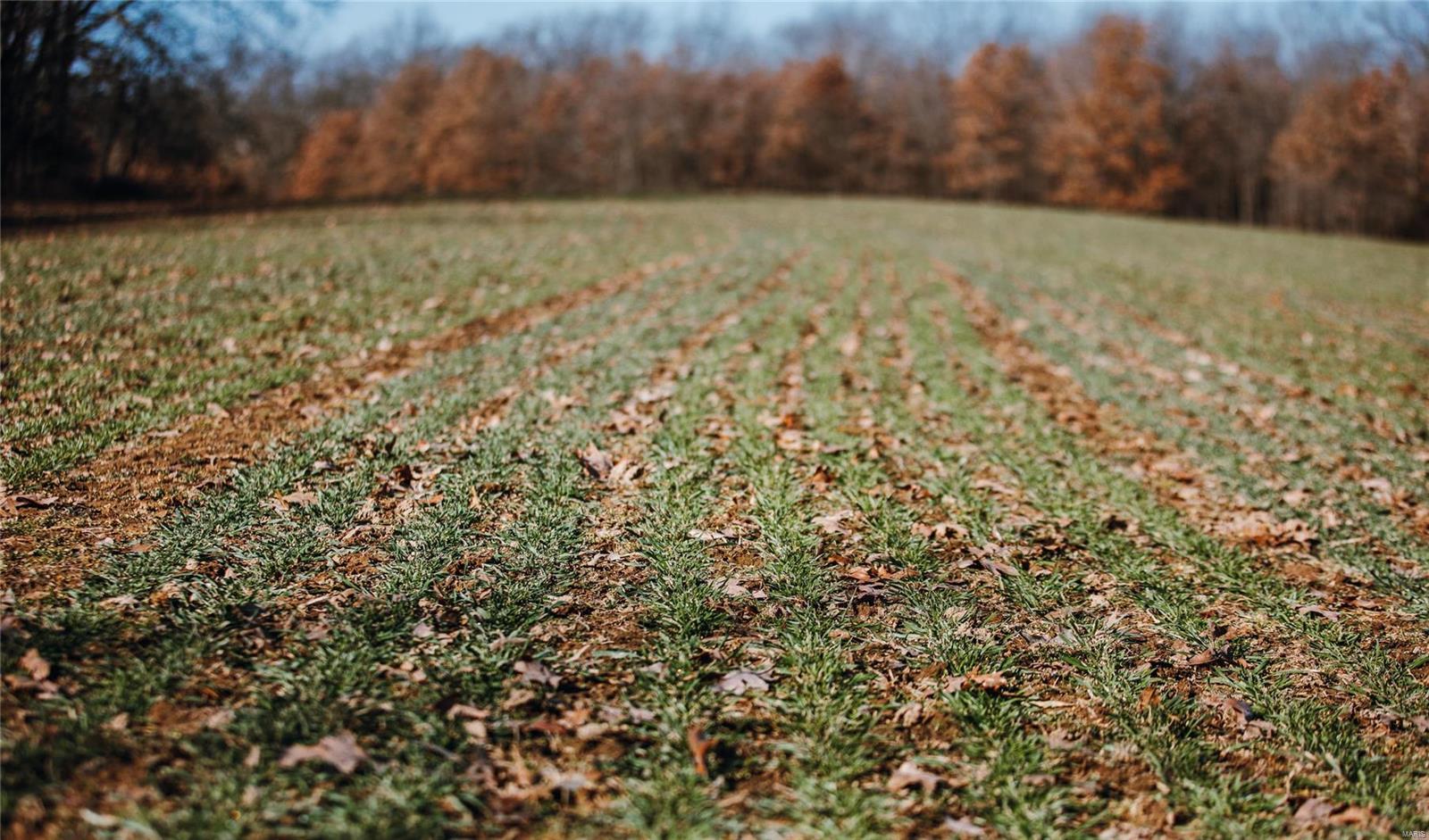 NONE - Farm