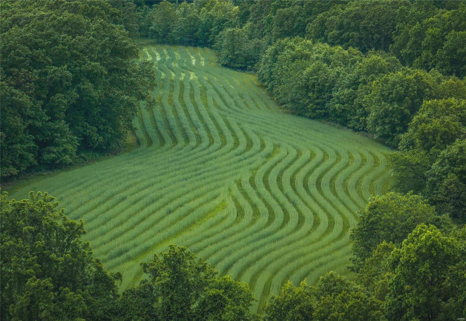 NONE - Farm