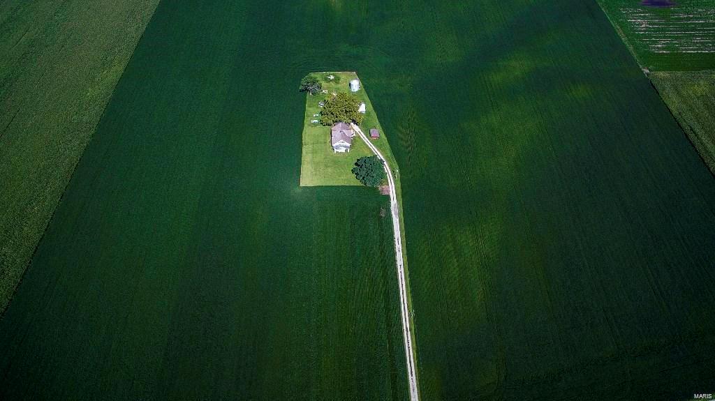 None - Farm